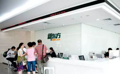 2018新東方藝考文化課春季住宿班 文化藝術(shù)咨詢服務(wù)全解析